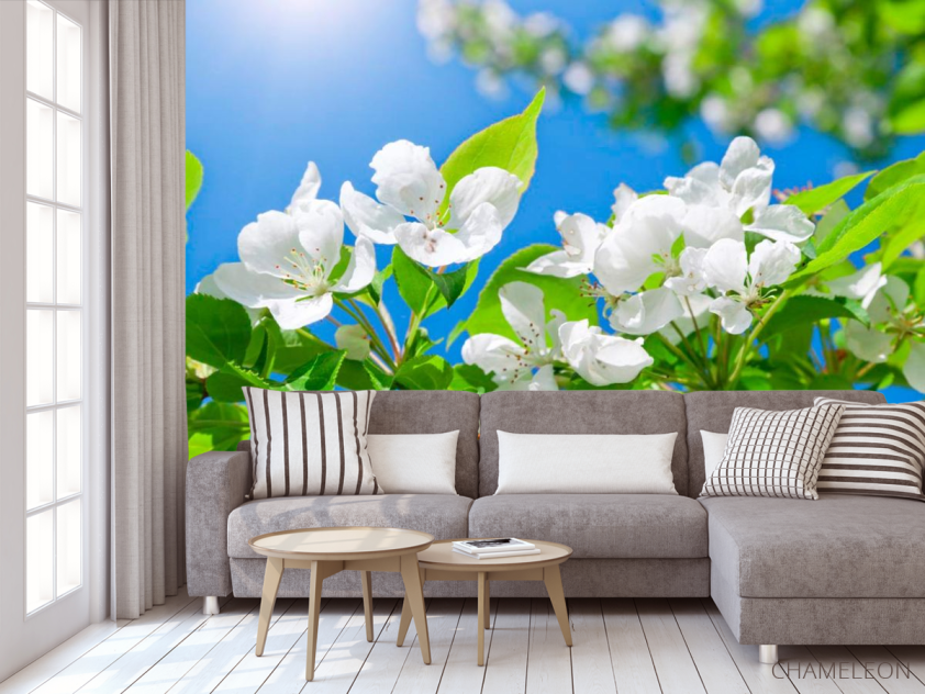 Фотообои Цветы белые маленькие - 3