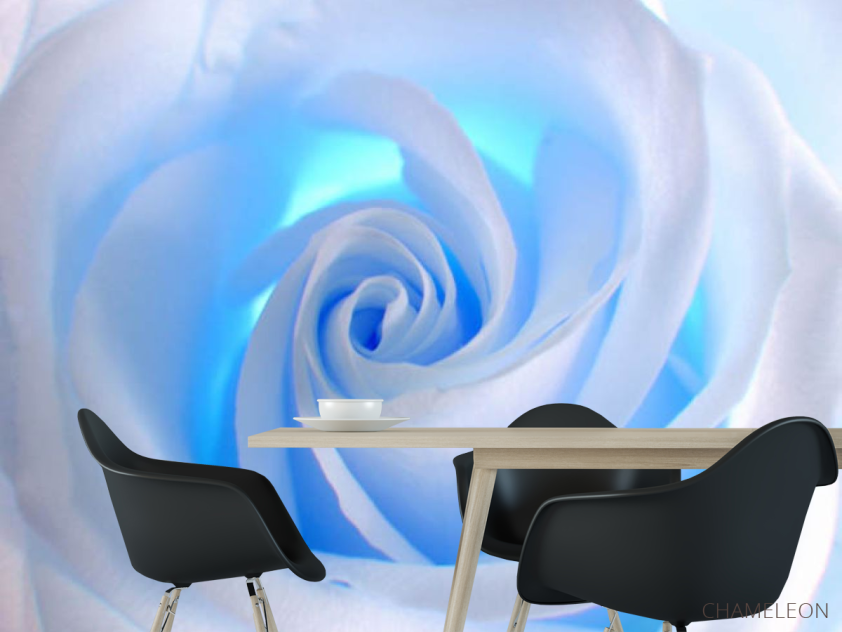 Фотошпалери троянда - 1