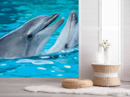 Фотошпалери Ніжність дельфінів - 2