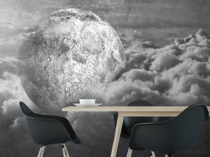Фотошпалери сіра місяць - 1
