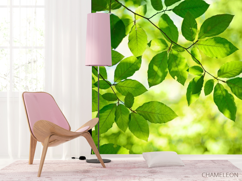 Фотошпалери зелене листя на дереві - 4