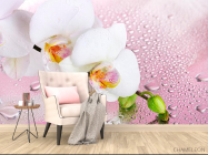 Фотообои Две белых орхидеи - 4