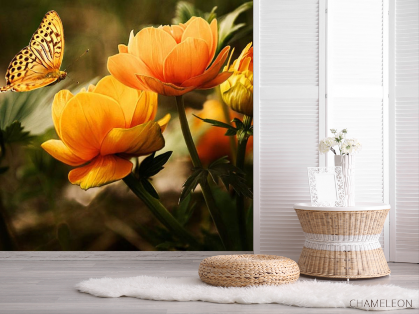 Фотошпалери метелик на квітах - 2