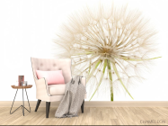 Фотообои одуванчик - 4