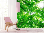 Фотошпалери Дерева, світло - 4