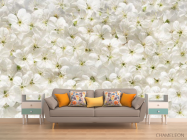 Фотообои белые цветы - 1