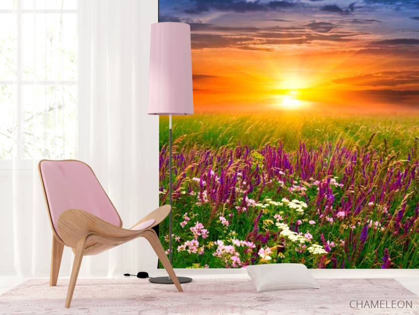 Фотошпалери Польові квіти, захід - 4