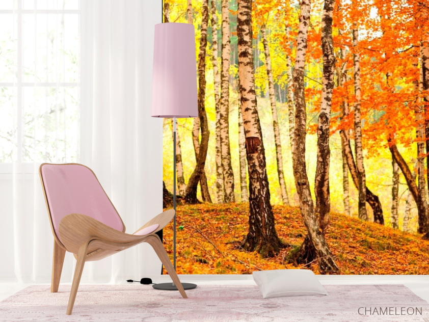 Фотошпалери Березовий шепіт - 4