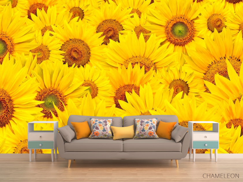 Фотообои Поле из подсолнухов - 1
