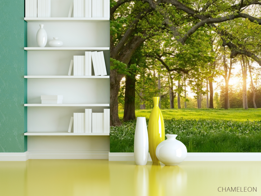 Фотошпалери поляна - 3