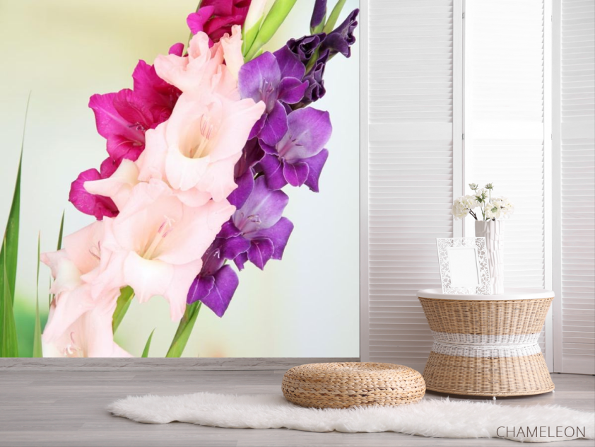 Фотошпалери гладіолуси - 2