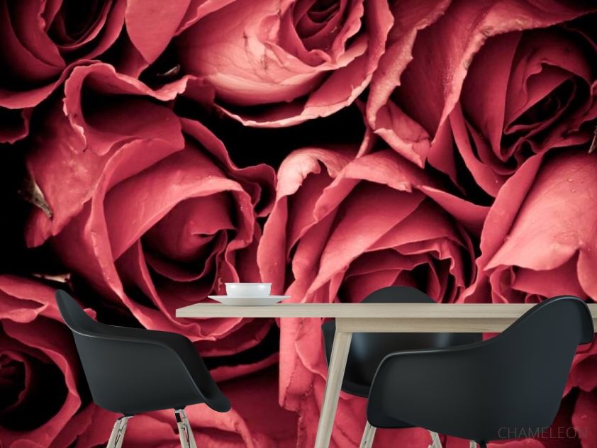 Фотошпалери Червоні троянди - 1