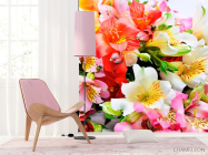 Фотошпалери Квітник - 4