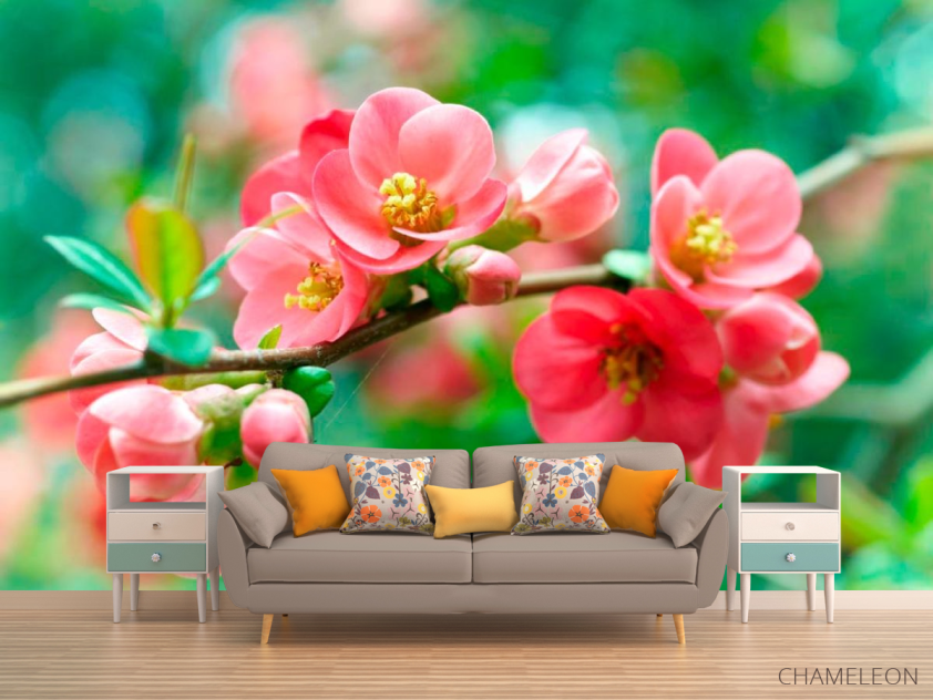 Фотообои Имбирь коралловый - 1