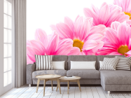 Фотообои Ромашки розовые - 3