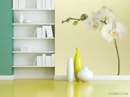 Фотообои белая орхидея на бежевом фоне - 3