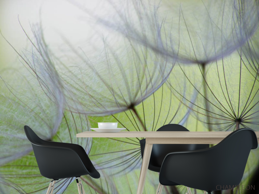 Фотошпалери кульбаби - 1