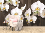 Фотообои Белые орхидеи на дереве - 4