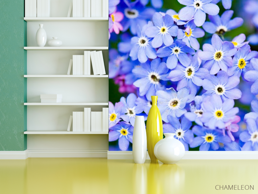Фотошпалери Блакитні квіти весняні - 3
