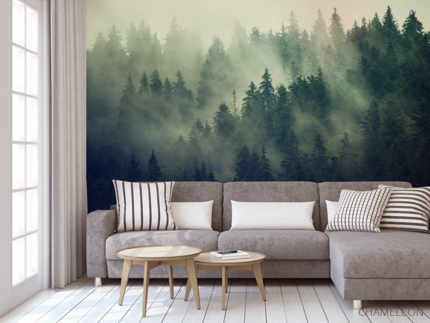 Фотообои Туманные сосны - 3