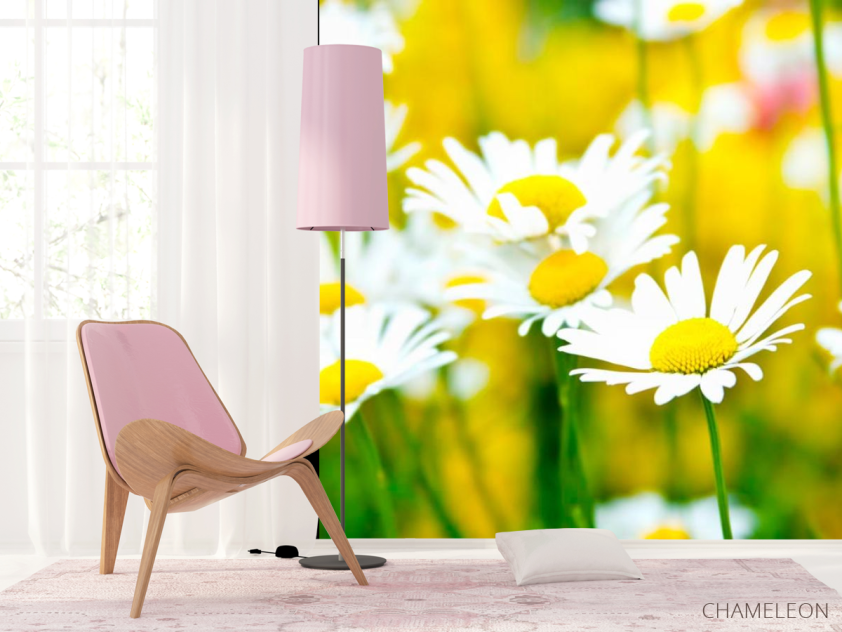 Фотошпалери Польові білосніжні ромашки - 4