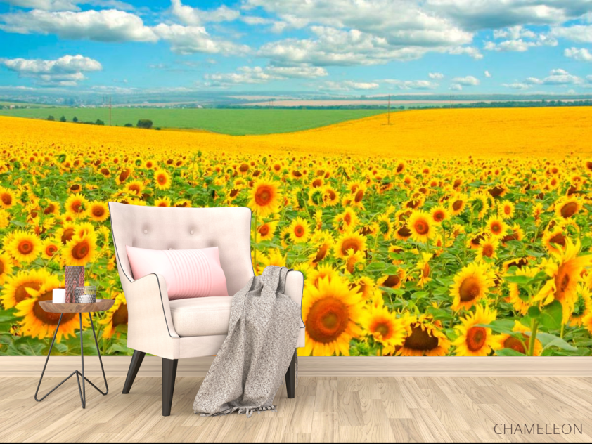 Фотообои Поле, засеянное подсолнухами - 4