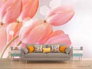 Фотообои розовые тюльпаны - 1