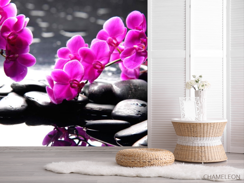 Фотошпалери Рожеві квіти та каміння - 2