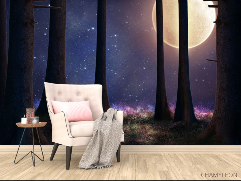 Фотообои луна в лесу - 4