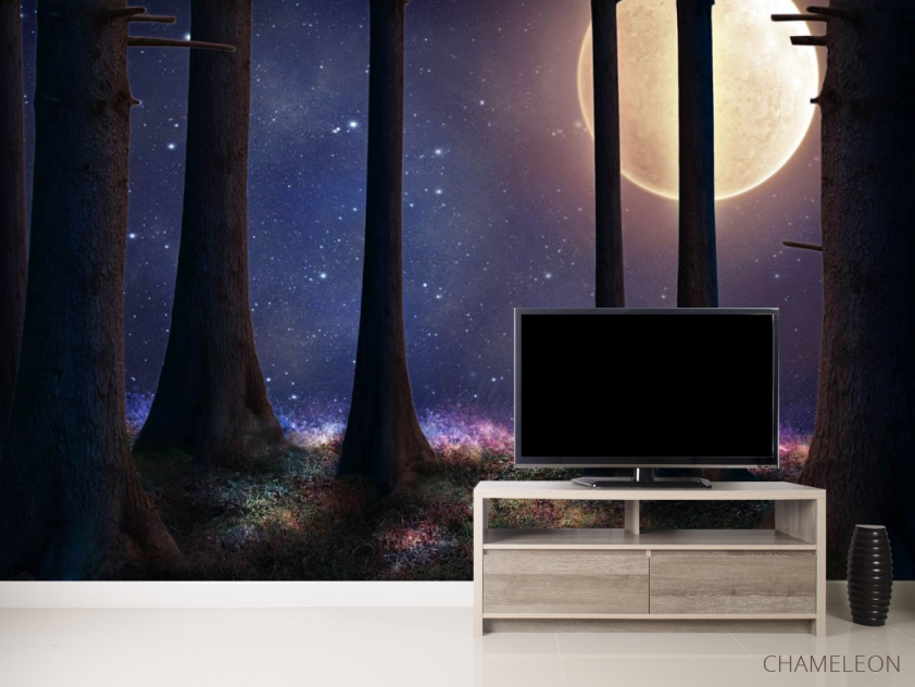 Фотообои луна в лесу - 2