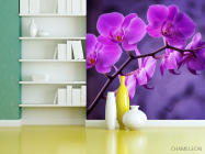Фотошпалери орхідея - 3