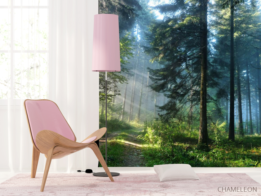 Фотошпалери Дерева в лісі - 4