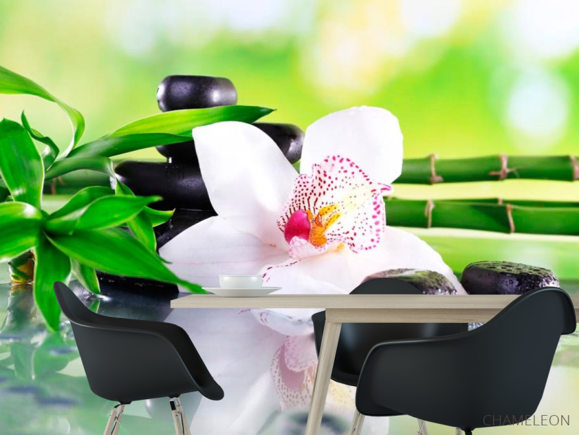 Фотошпалери Квітка орхідеї - 1