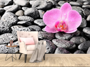 Фотообои Орхидея, роса, камни - 4