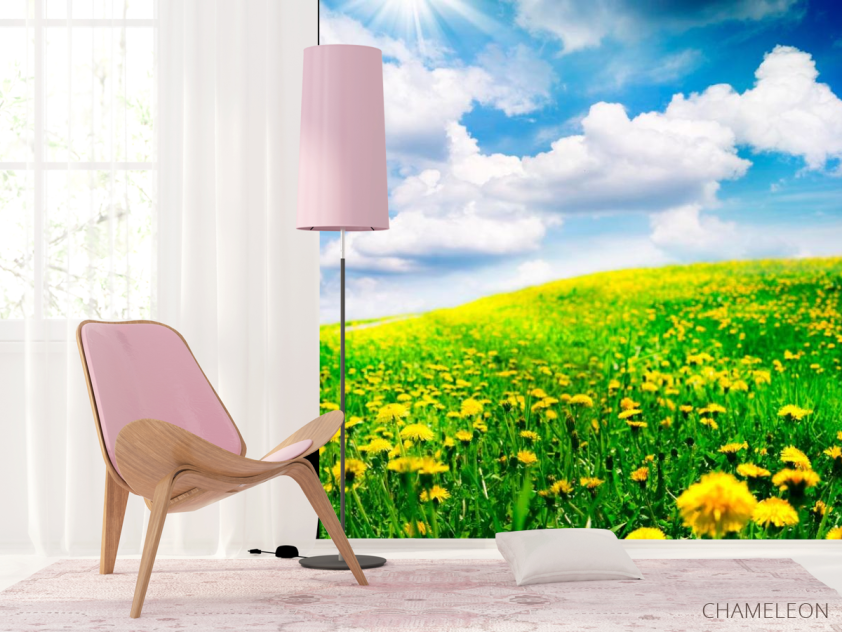 Фотошпалери Хмари, небо, луг - 4