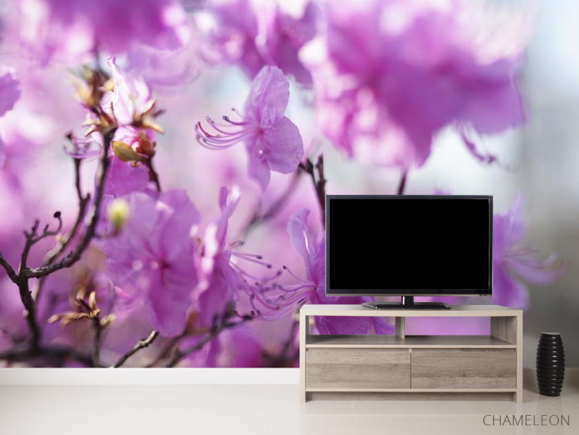 Фотообои сиреневые цветочки на дереве - 2