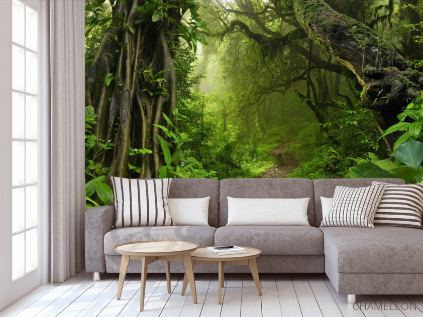 Фотообои Джунгли тропические - 3