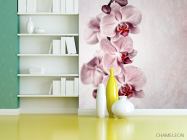 Фотошпалери Сіренькі орхідеї - 3