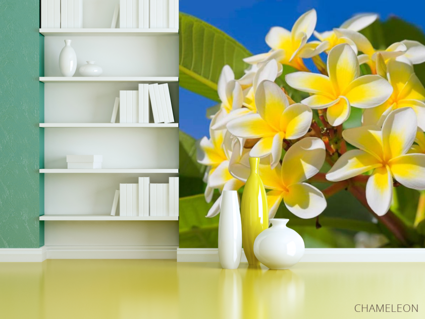 Фотошпалери Жовто-білі квіточки - 3