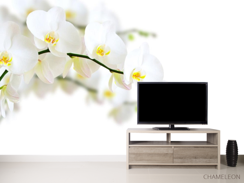 Фотообои веточка белой орхидеи - 2