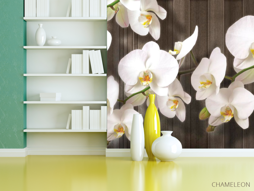 Фотошпалери Білі орхідеї на дереві - 3
