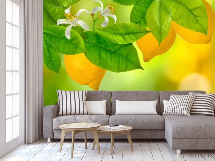 Фотообои Лимон - 3