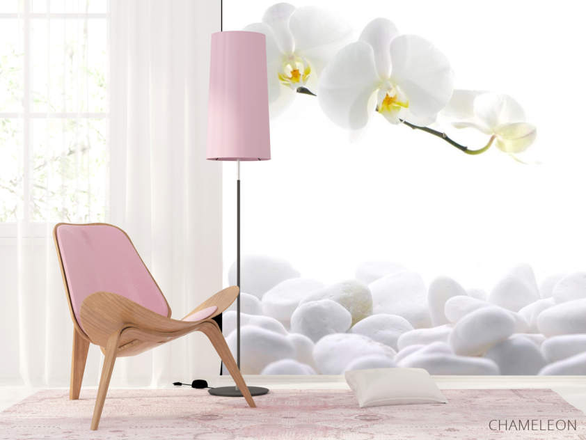 Фотошпалери Білі орхідеї - 4