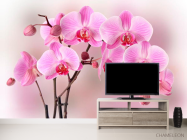 Фотообои Орхидеи розовых тонов - 2