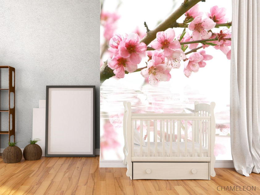 Фотообои цвет вишни над водой - 2