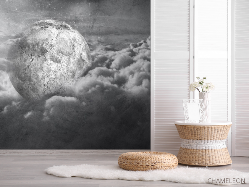 Фотошпалери сіра місяць - 2