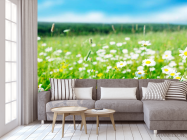 Фотообои Степные белоснежные ромашки - 3