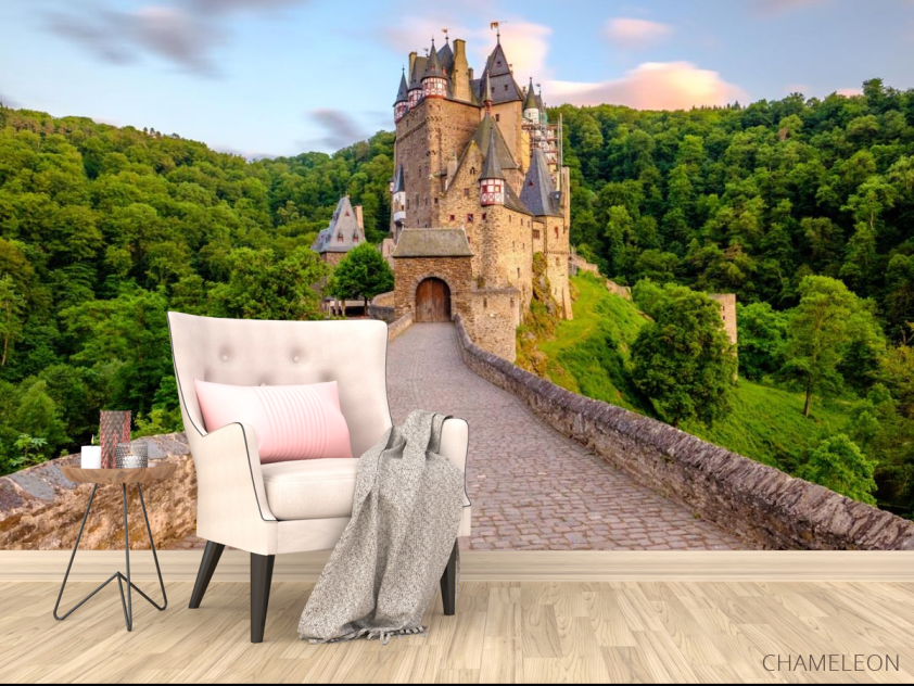 Фотообои дорога к замку - 4