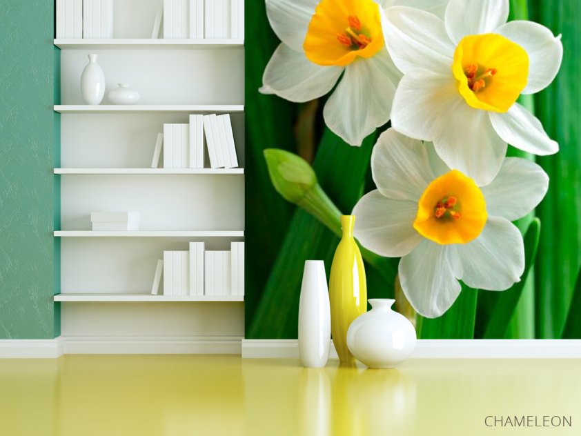 Фотошпалери Нарциси обынковенные - 3