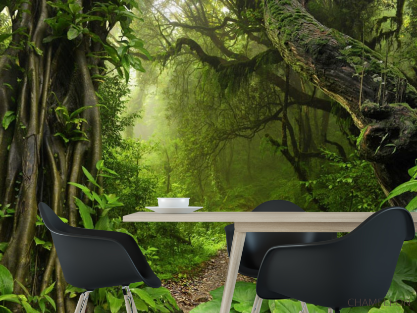 Фотошпалери джунглі тропічні - 1